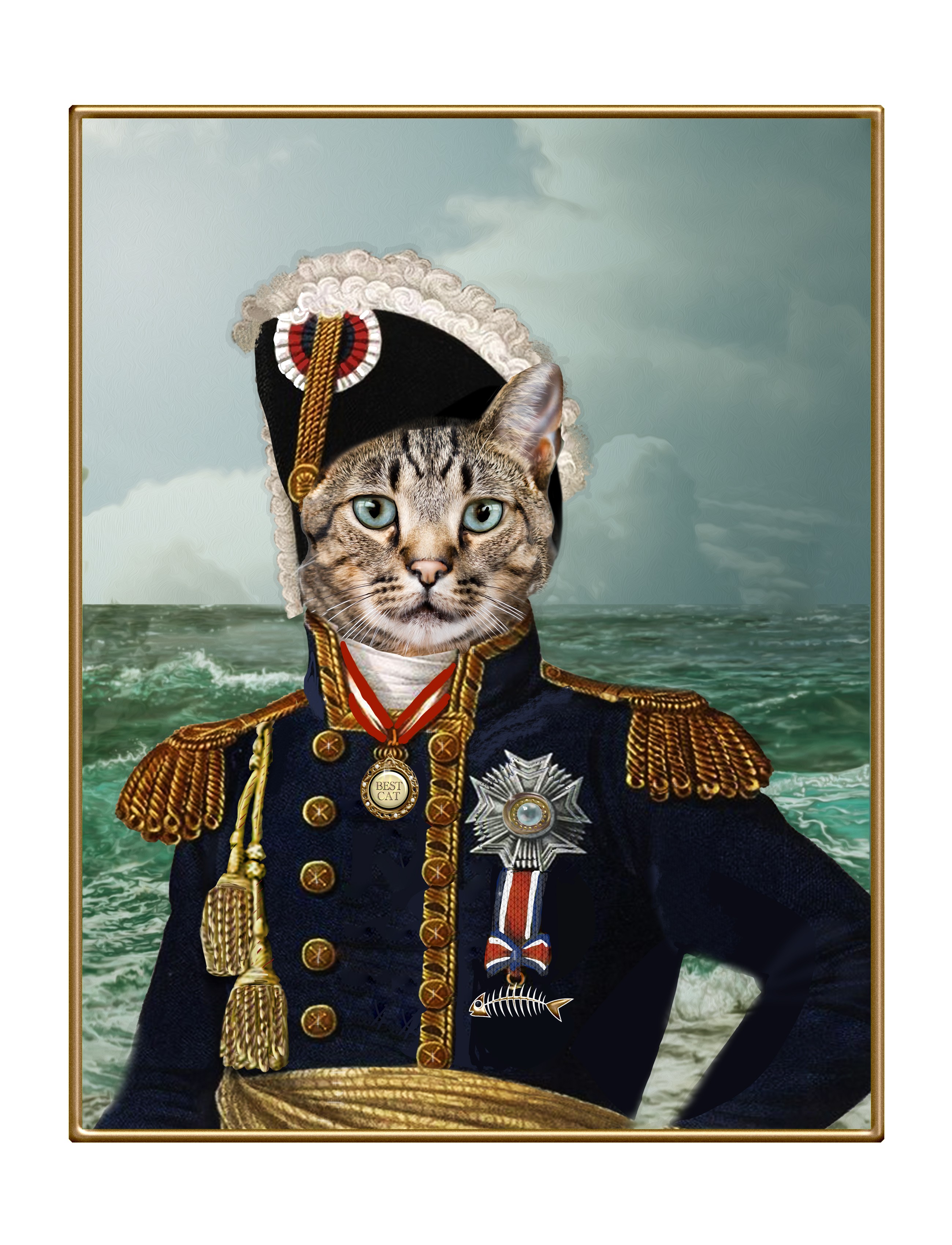 Capt. McTabby