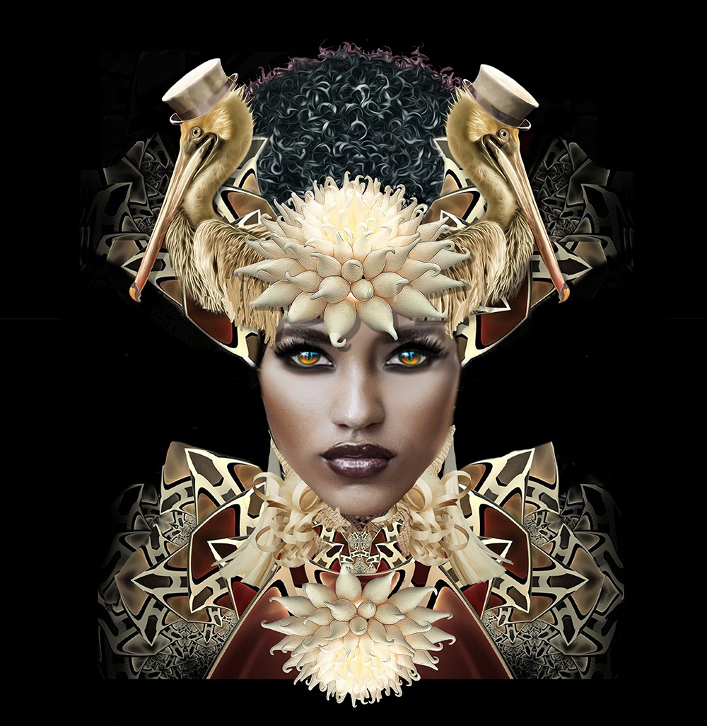 Playing with Pelicans