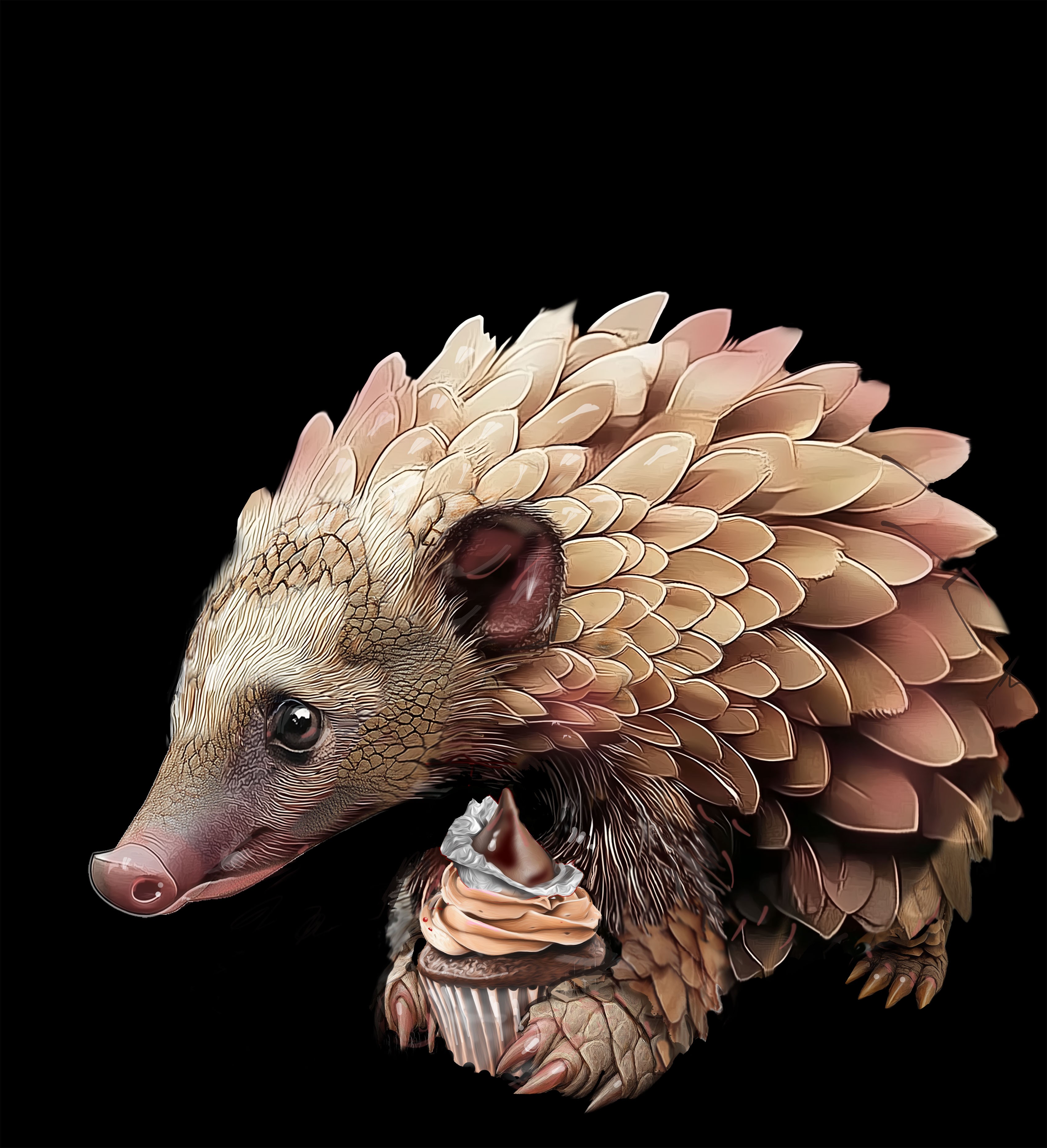 Pergolin's Chocolate  Kiss