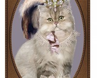 Princess Raggah Muffin