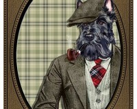 Sherlock Scottie