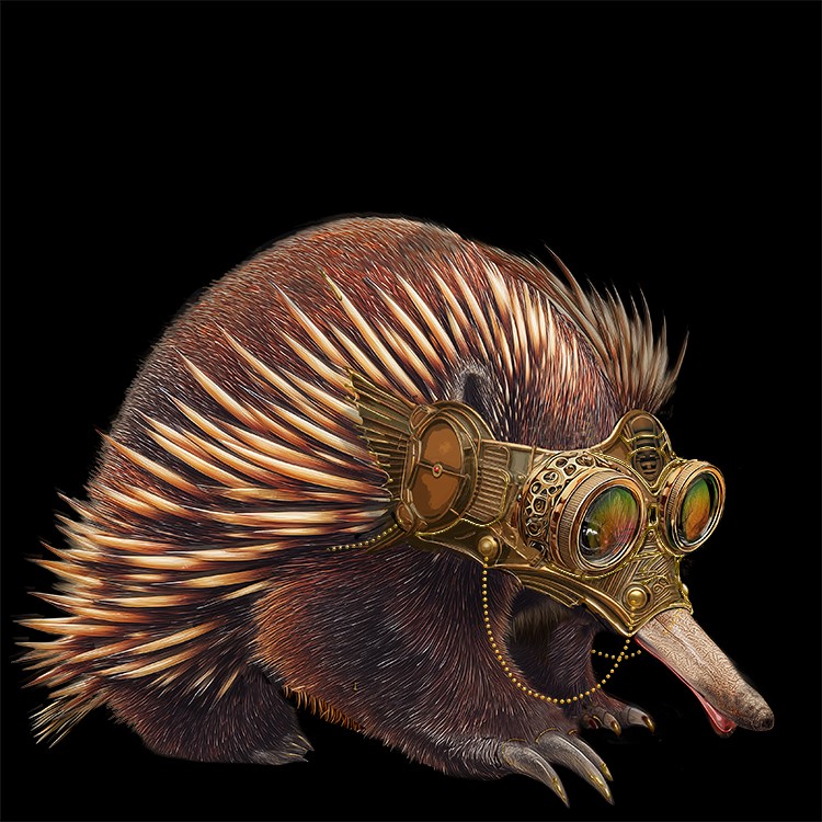 Equidna the Explorer