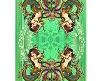 Preserve vs. Protect