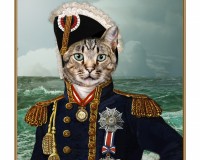 Capt. McTabby